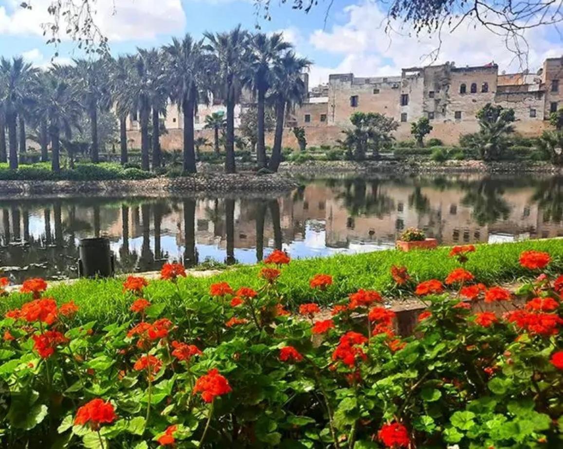 فندق Dar Mima فاس المظهر الخارجي الصورة
